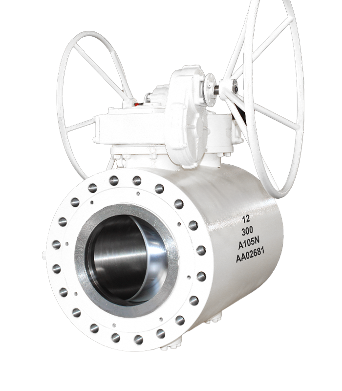 DBB Ball Valve