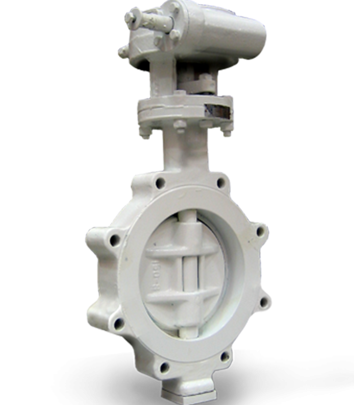 Double Offset Butterfly Valve