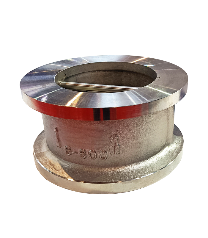 Dual Plate Check Valve