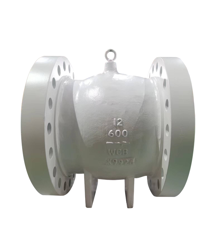 Axial Flow Check Valve